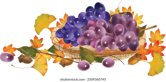 Ilustração vetorial de uvas em uma cesta com folhas de bordo, bolotas e outras iguarias outonais em um fundo branco.