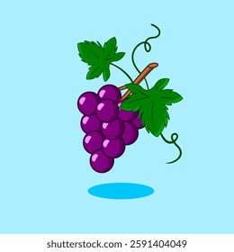 Vector Illustration of Grapes Fruit Purple, Cartoon Design