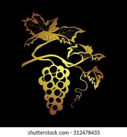 vector illustration of grapes, image branches of grapes vines