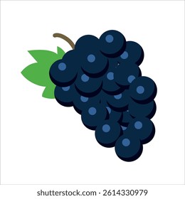 Vector illustration of grapes isolated on white background.