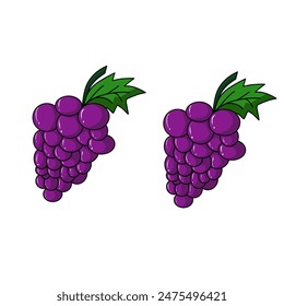 vector illustration of grapes with isolated outline