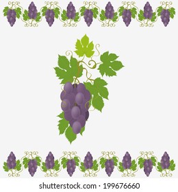 Vector Illustration  with  grapes on white background