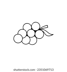 vector illustration of grapes outline