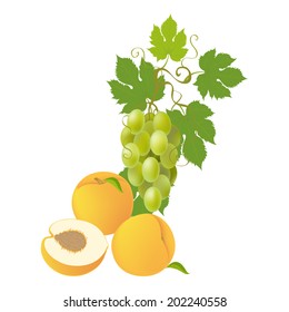 Vector Illustration  with  grapes and peach on white background