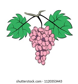 Vector illustration of grapes and two leaves of grapes. Logo.