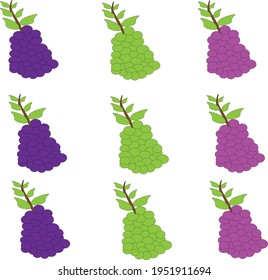 Ilustración vectorial de uvas con varios colores púrpura, verde y rosa sobre fondo blanco