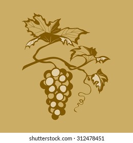 vector illustration of grapes, vintage image branches of grapes vines
