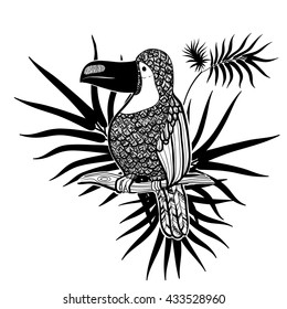 Vector illustration. Graphic arts. toucan bird on a background of tropical leaves. Black and white.