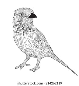 Vector illustration with graphic bird in black and white colors