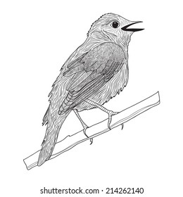 Vector illustration with graphic bird in black and white colors
