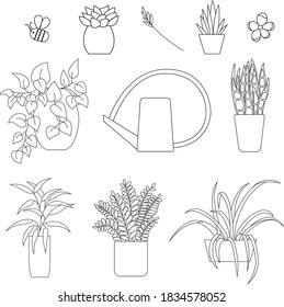 Vector Illustration Graphic Clip Art Doodle House Plant Pot Flower Leaves Nature Outline Set Isolated Elements White Background