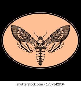 vector illustration graphic death's head hawkmoth