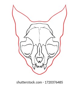 vector illustration of graphic design of cat skull, art, sketch tattoo, icon, logo, use in prints on car washes, hand draw, red line, symbol, animal face