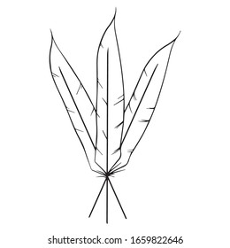 vector illustration graphic design feathers, artwork, tattoo, draw black style, art