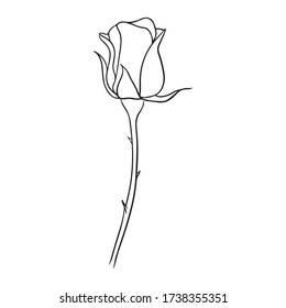 ilustración vectorial del diseño gráfico de rosa, icono, brote de floración, esbozo de dibujo de arte, rama, uso en impresión, dibujar con mano