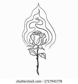 vector illustration of graphic design of roses, art tattoo sketch, icon, logo, use in print, hand draw, spiky flower