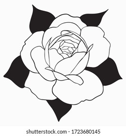 vector illustration of graphic design roses, logo, garden sprout, art sketch sketch, ornament, bud, use in print, hand draw