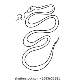 vector illustration graphic design snake,art,tattoo sketch,use in print,hand draw