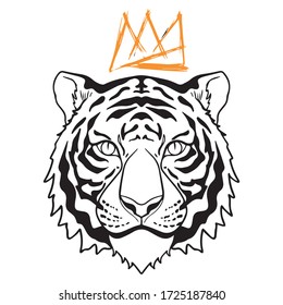 vector illustration of graphic design of a tiger, animal head, sketch artist, predator, use in print, draw with hand