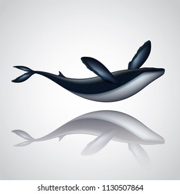 Vector , illustration graphic digital design. Blue whale  isolated on white background,Idea for presentation EPS10.