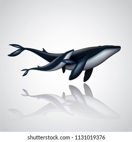 Vector and illustration graphic digital design, Blue whale family isolated on white background,Idea for presentation EPS10.