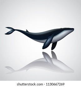 Vector and illustration graphic digital design,Blue whale  isolated on white background,Idea for presentation EPS10