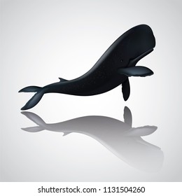 Vector and illustration graphic digital design,Sperm whale  isolated on white background, Idea for presentation EPS10.