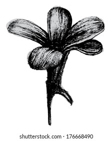 A vector illustration of a graphic flower. Hand drawn with pen.