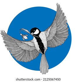Vector illustration graphic linear bird tit in flight and snowdrop flower