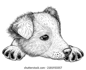 Vector illustration graphic linear puppy