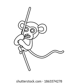 Vector illustration graphic of monkey isolated on white background. Good for icon, sticker, zoo sign