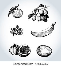 Vector illustration graphic set fruit.  Illustration for greeting cards, invitations, and other printing and web projects.