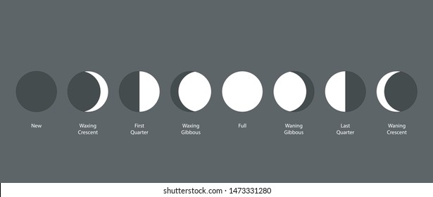 Vector illustration graphic showing moon phases