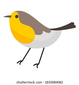 Vector illustration graphic of yellow, grey, black, and white bird. Good for animal saver, poster, banner