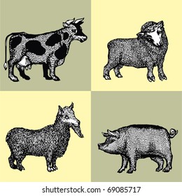 Vector illustration - graphically drawn in domestic animals - goat, cow, pig and sheep. Imitation of woodcuts