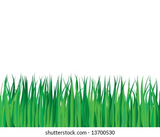 Vector illustration grass background for design usage
