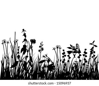 Vector illustration grass background for design use