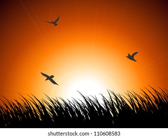 Vector illustration of grass and birds at sunset