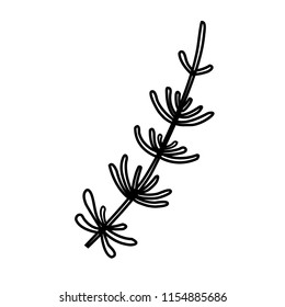 Vector illustration of a grass. Black outline doodle monochrome style. Can be used in wreaths, floral designs.