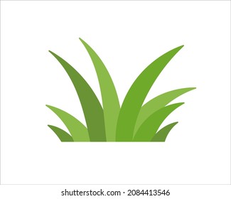 Vector Illustration of a Grass Bunch Isolated on White Background