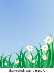 vector illustration of grass and daisy flowers under a clear blue sky in eps 10 format