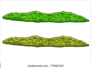 vector illustration of grass field farm land green landscape
