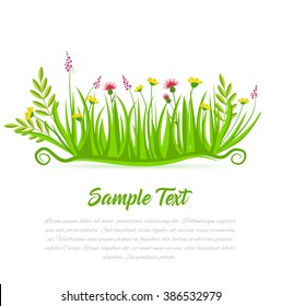 Vector illustration of grass and flowers on a white background