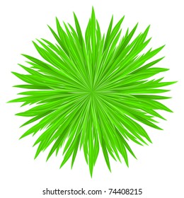 Vector illustration of grass frame. Green circle