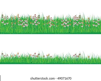Vector Illustration of grass growing with wildflowers
