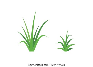 ilustración vectorial de césped aislado en fondo blanco