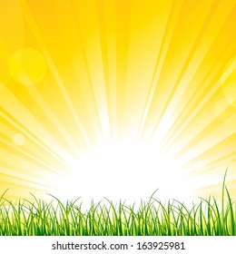 Vector Illustration Of Grass On The Sunshine Rays.