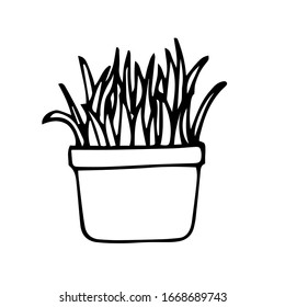 Vector illustration. Grass in pot isolated on white. Spring or summer botanical element. Hand drawn simple doodle clipart in a trendy minimalist style. Logo, social media Highlight Cover, icon.