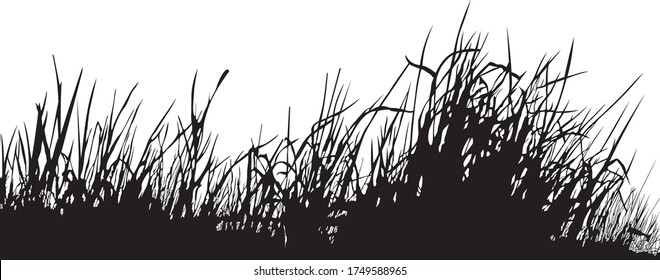 vector illustration of a grass silhouette