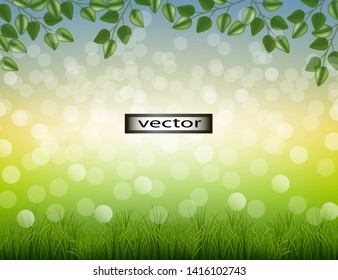 Vector illustration grass trees leaves lighting bokeh sunlight forest landscape